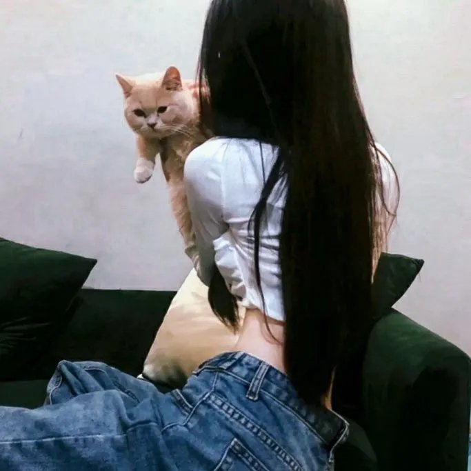美女公寓